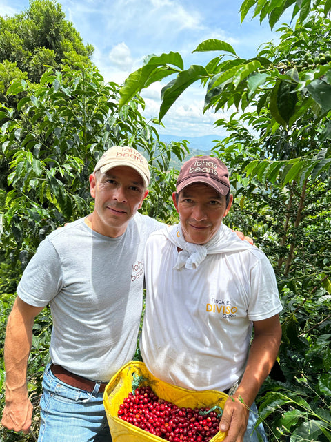 Blend Las Moras Natural